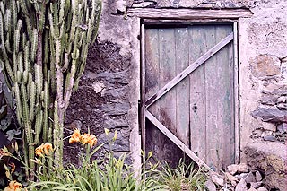 (Photo) Old Cellar Door