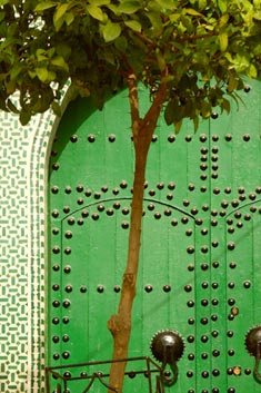 (Photo) Green Door with Ornamentation